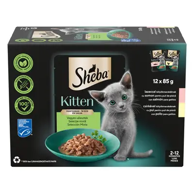 Sheba Kitten 4Pack nedves macskaeledel válogatás - lazac, csirke 12 x 85 g