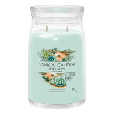 Yankee Candle Aloe & Agave 567 g
