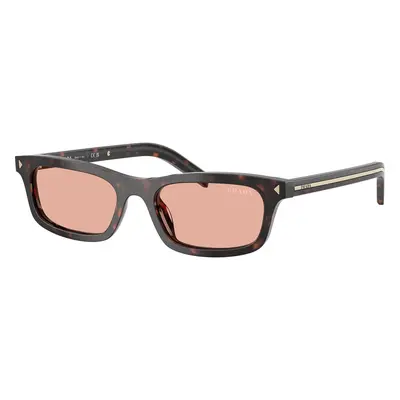 Prada PRD05S 17N50W ONE SIZE (52) Havana Férfi Napszemüvegek