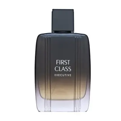Aigner First Class Executive Eau de Toilette férfiaknak 100 ml