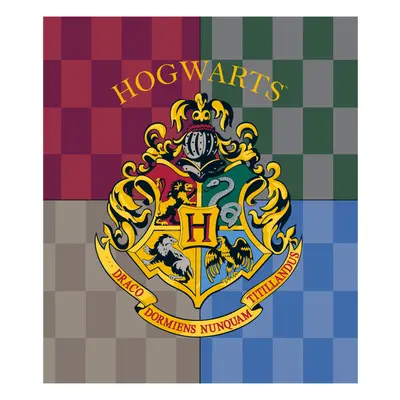 Harry Potter Hogwarts coral fleece polár takaró 120x150cm - ÚJ