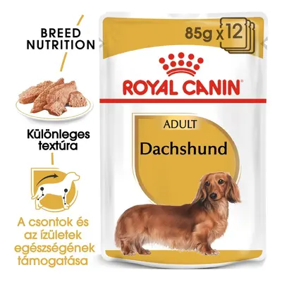 Royal Canin Dachshund Adult - Tacskó felnőtt kutya nedves táp x g