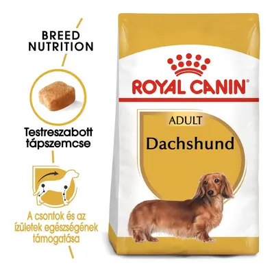 Royal Canin Dachshund Adult - Tacskó felnőtt kutya száraz táp 0,5 kg