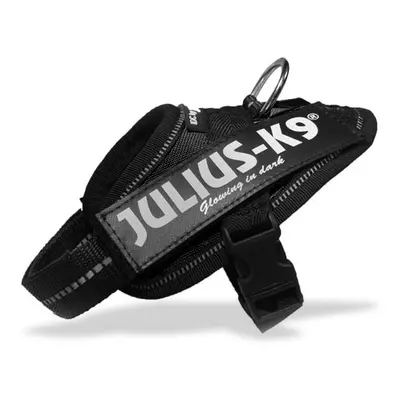 Julius-K9 IDC powerhám, fekete Baby 1-es (16IDC-P-B1)